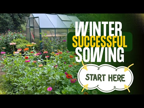 Winter Sowing Kickoff: Everything You Need to Know to Get Started Successfully | The Southern Daisy