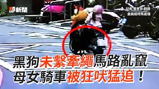 黑狗未繫牽繩馬路亂竄　母女騎車被狂吠猛追｜社會｜北投｜飼主