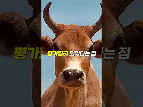 독립을 위해 2조 원을 바친 대한민국 최고의 부자