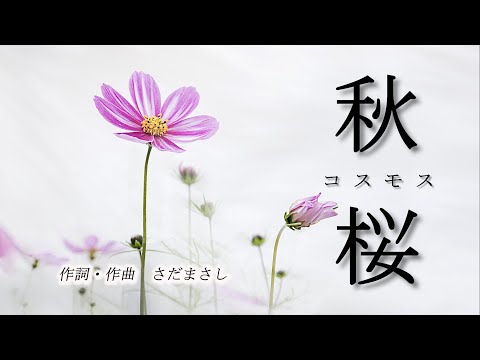 秋桜（コスモス）歌　Yoshimi 　ピアノ　中北利男