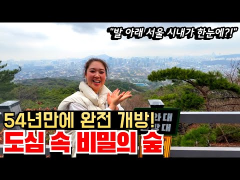 54년만에 드디어 모든 구간 전면 개방된 서울의 비밀의 숲길ㅣ민간인의 출입이 금지되었던 도심 속 특별한 둘레길ㅣ대중교통 당일치기 여행지ㅣ지하철 여행 추천ㅣ서울 가볼만한 트레킹 코스