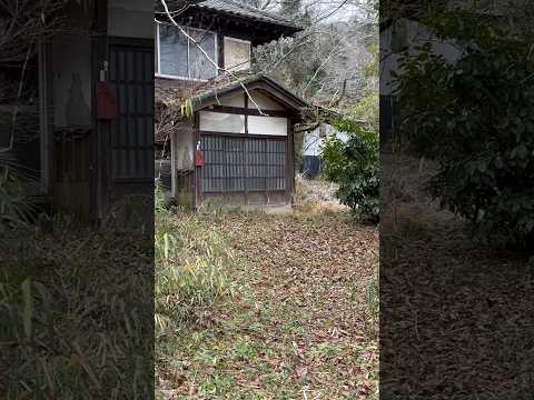 邸宅廃墟🏚️正面