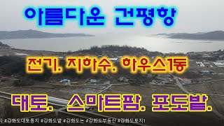 강화도 부동산! 강화도 농지! 포도밭,체험농장,대토,스마트팜,귀농 추천하는 강화도 토지매매