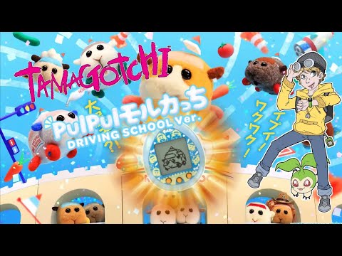 PUI PUI Molcartchi Driving School Review (PUI PUI Molcar Tamagotchi Nano Collaboration)