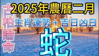 【古柏論命每月運勢+吉日凶日】2025年農曆2月(陽曆2/28 ~3/28)生肖運勢分享 -  蛇