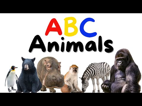 The ALPHABET Animals for Kids | Preschool Learning Videos