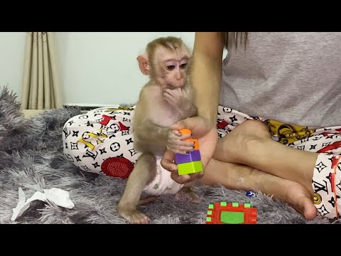 Cute baby boy play toys with mom