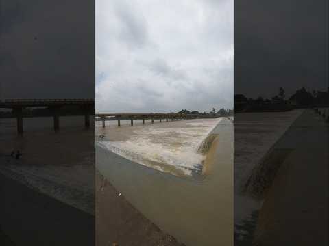 Shivnath River overflow, Rajnandgaon #minivlog