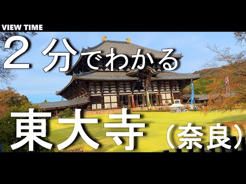 【２分で解説】東大寺　奈良旅行　大仏が有名な鹿に囲まれた世界遺産。見どころ紹介（南大門　金堂：大仏殿）歴史もちょこっと。