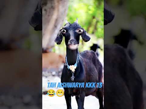 Tag Ashwariya Name Wali Funny 😂🤣 Video || Shahab Khan Vloger || #comedy #funny #viral #shortfeed