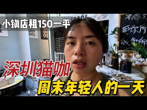 深圳古鎮的店租金以平方收取，隱藏在古鎮裡的貓咖，週末閒逛的地方