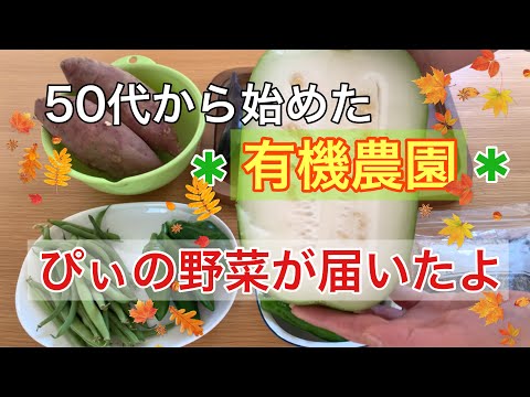 【50代＃74】鹿児島で有機野菜の農園を営んでる友達から野菜が届いたよ