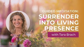 Guided Meditation: Surrender Into Living Presence with Tara Brach