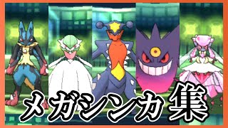 【ポケモンUSUM】全メガシンカシーン集