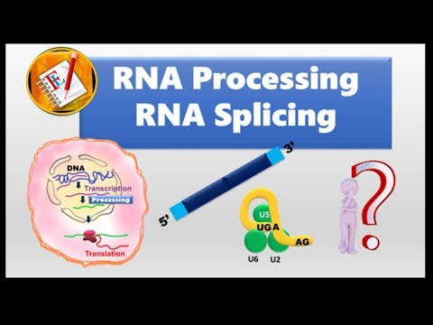 RNA splicing and Spliceosome