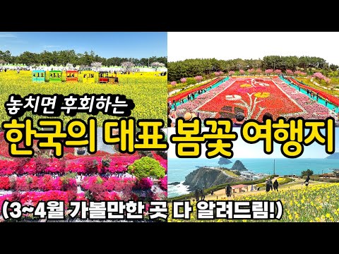 2025년 한국 대표 봄꽃여행지 BEST 추천ㅣ 3,4월 꼭 가봐야 하는 아름다운 봄여행지 추천ㅣ봄축제 정보ㅣ국내여행