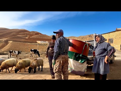 iranian Nomadic Life | Hidden Lives of Iranian Villages: The Beauty of Nomadic Life