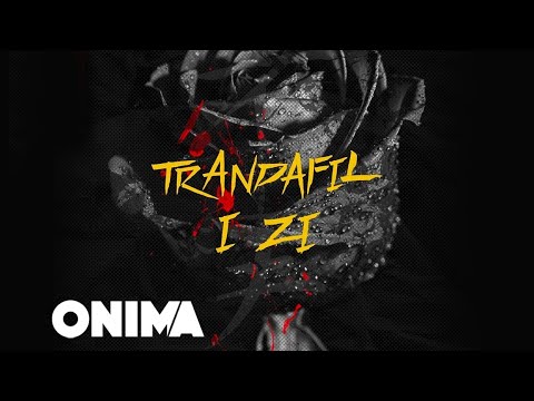 Ledri Vula - Trandafil i zi