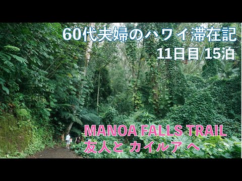 2023年7～8月15泊【11日目】Manoa Falls Trail  友人と「Boots ＆ Kimo’s」ラニカイ・ビーチ