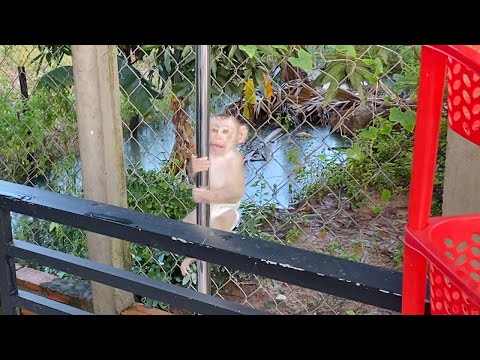 Cute baby boy to play outside