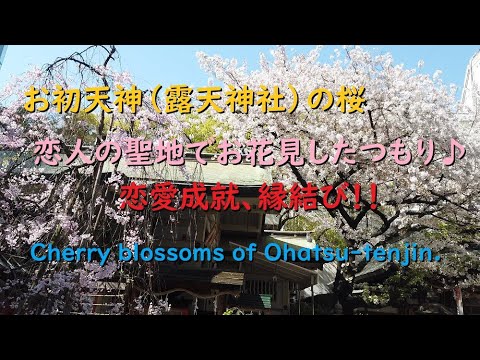 【恋愛成就・縁結び】お初天神の桜、恋人の聖地でお花見したつもり♪【Cherry blossoms of Ohatsu-tenjin Shrine.】