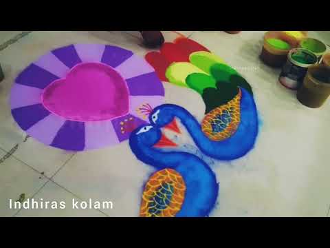 twin peacock rangoli | மயில் கோலம் | பொங்கல் ரங்கோலி 2024 | latest pongal rangoli | rangoli latest