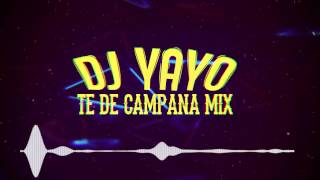 T E • D E • C A M P A N A • MIX | DJ YAYO (ATOMIC REMIX)