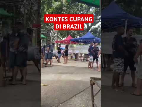 KONTES CUPANG DI BRAZIL