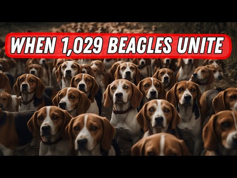 10 Bizarre Beagle Facts That Almost NO ONE Knows