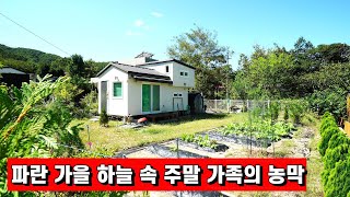 양평농막매매[984번] 1억초반 잘관리된 주말농막 접근성 좋고 햇살 가득 가족의 주망 아지트 공간으로 추천 농막