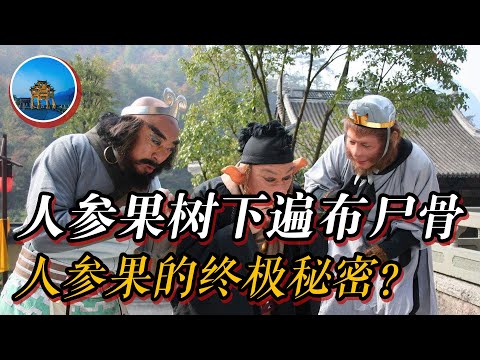 《西游记》秘闻：人参果树下遍布尸骨，人参果长生不老的背后居然藏着滔天秘密！