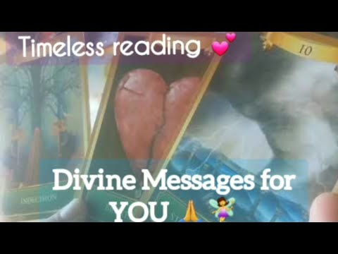 🦋🧚‍♀️Divine messages for you|Collective reading💕🤗😊🦋🧚‍♀️#timelessreading #godguidance#angels#advice