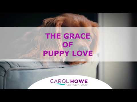 Podcast 27 - The Grace Of Puppy Love