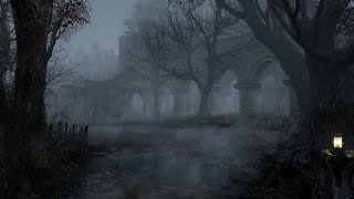 Haunted Forest Sounds | Ghostly Murmurs | 1 Hour