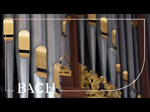 Bach - Kyrie, Christe, Kyrie BWV 672-674 - Smits | Netherlands Bach Society