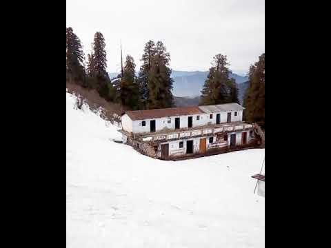 Mussoorie Tourist Places | Dhanaulti Uttarakhand | Mussoorie Kempty Fall | Mussoorie Trip | #Shorts