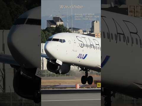 ANA B737-881W | Smooth landing by suppressing crosswind shaking | Osaka ITAMI Airport