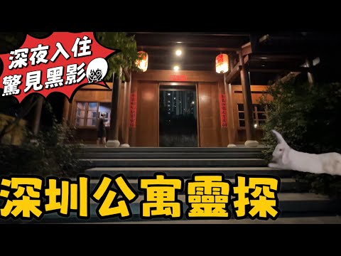 深圳酒店公寓靈探｜深夜入住驚見黑影！環境清幽｜抵食活海鮮火鍋｜足料鮑魚花膠海參｜深圳灣口岸｜黑貓深圳遊 #鮑火 #梧桐酒店