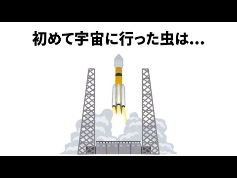 虫に関するほとんど知らない面白い雑学【簡単雑学】