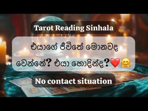 Think about any person ❤️🤗 No Contact Situation ❤️🤔 #tarot #srilanka #sinhala #anyperson