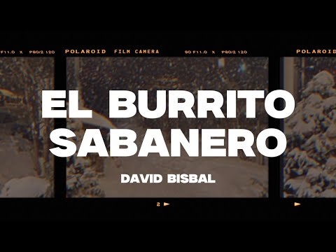 David Bisbal - El Burrito Sabanero (Letra/Lyrics)