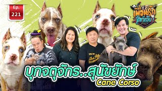 I Cane Corso สุนัขเคนคอร์โซ่บุกจตุจักร...สุนัขยักษ์ Ep.221 เพื่อนรักสัตว์เอ๊ย