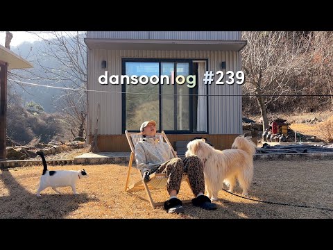 Korean rural winter life vlog 239) Small house yard life