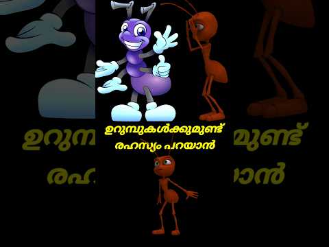 ഉറുമ്പുകളുടെ രഹസ്യം പറച്ചിൽ #shorts #shortsvideo #shortsfeed #shortfilm