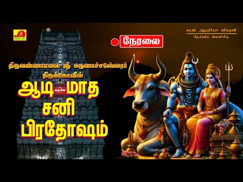 🔴  LIVE  ஆடிமாத சனி பிரதோஷம்  திருவண்ணாமலை பெரியநந்தி அபிஷேகம் மற்றும் ஆராதனை #liveproadhasham #live