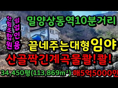 청도읍 산림조합원 임업용 임야매매~긴계곡 끝내주는 대형임야 염소 닭 사육가능합니다