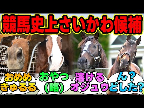 『愛嬌ステークス(G1)』に対する競馬民の反応集