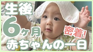 【密着】生後６ヶ月赤ちゃんの一日｜ずり這い・お座りできるようになりました！｜離乳食・生活リズム・遊び方【vlog#18】