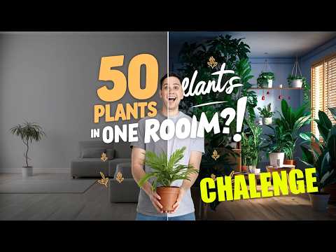 Indoor Jungle Challenge: Can You Grow 50 Thriving Plants in One Room? 🌿