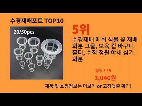 수경재배포트 지금 안 사면 품절되는 알리익스프레스 추천템 BEST 10